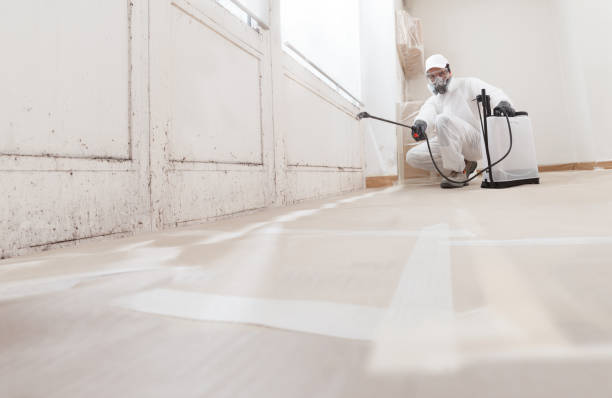 24/7 Emergency Mold Remediation experts in Everett, WA