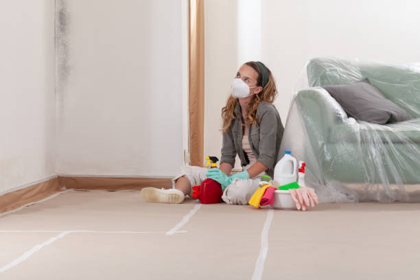 Reliable Mold Remediation contractor in Everett, WA by 24 Hour Mold Removal